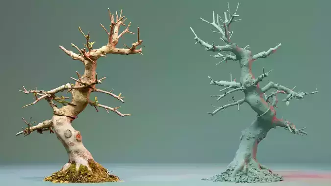 Enchanted Tree 2 3D model