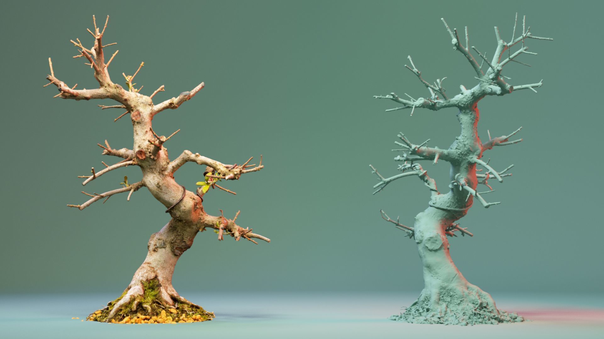 Enchanted Tree 2 3D model_5