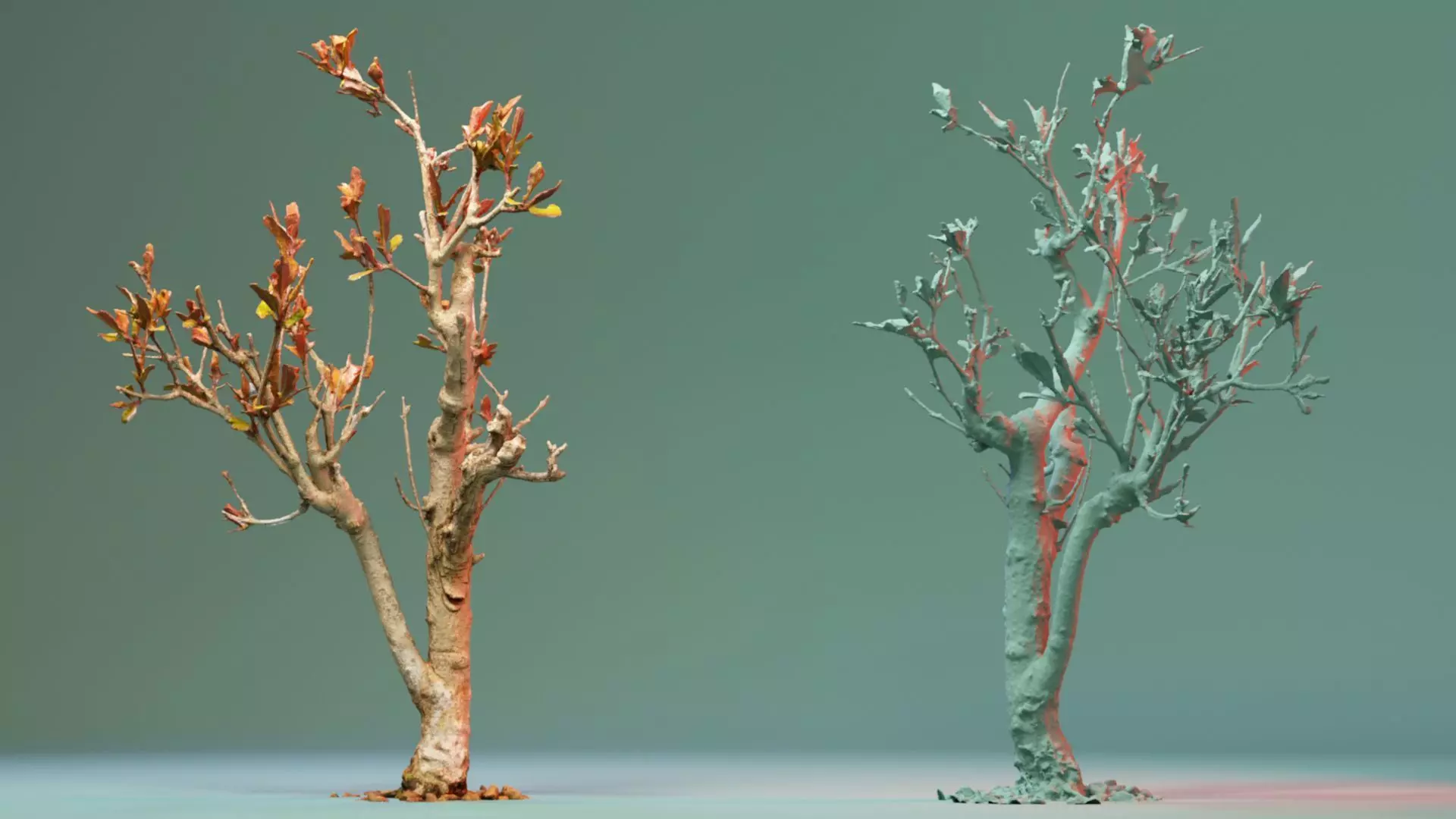 Enchanted Tree 19 3D model