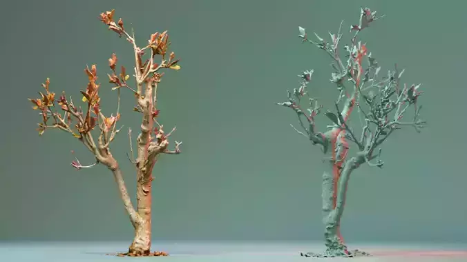 Enchanted Tree 19 3D model