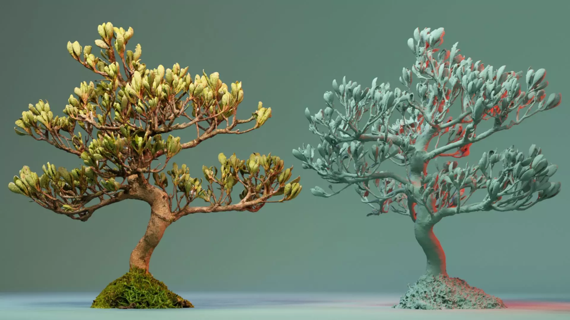 Enchanted Tree 18 3D model