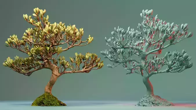 Enchanted Tree 18 3D model