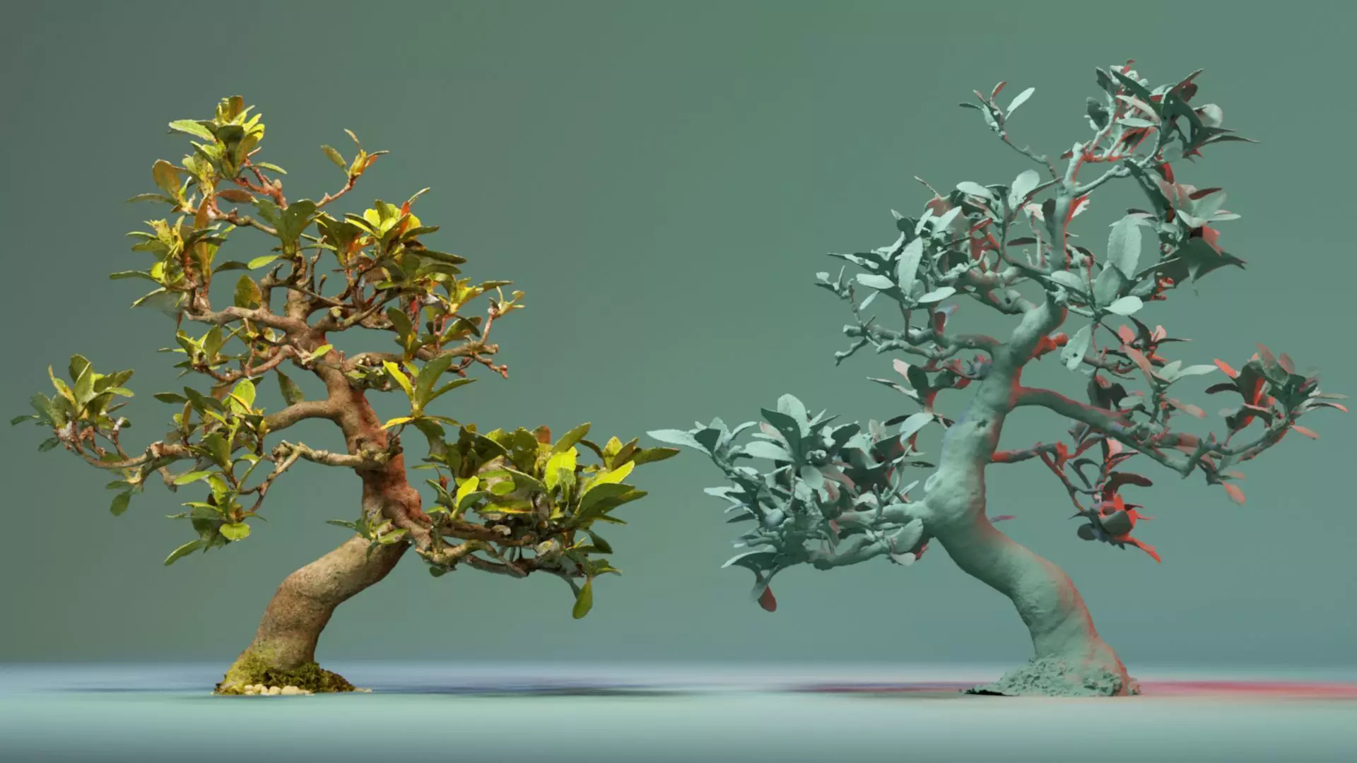 Enchanted Tree 17 3D model