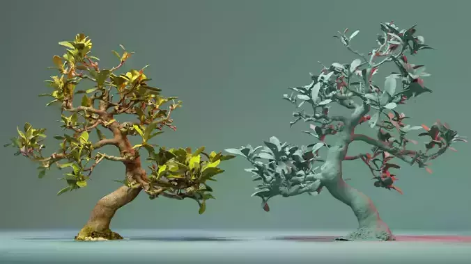 Enchanted Tree 17 3D model
