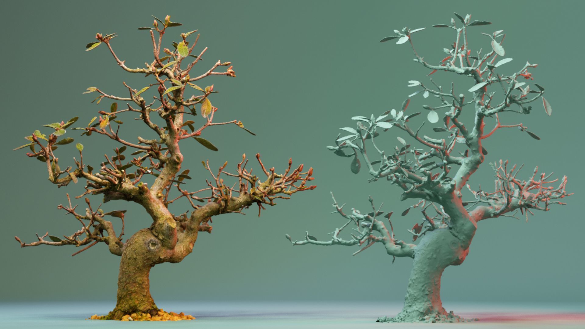 Enchanted Tree 16 3D model_5