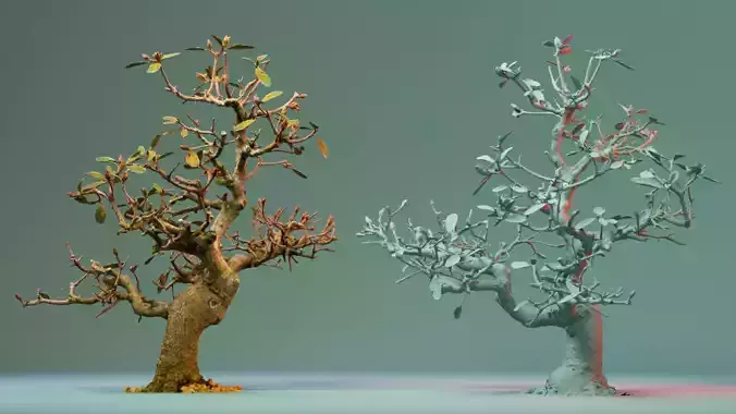 Enchanted Tree 16 3D model