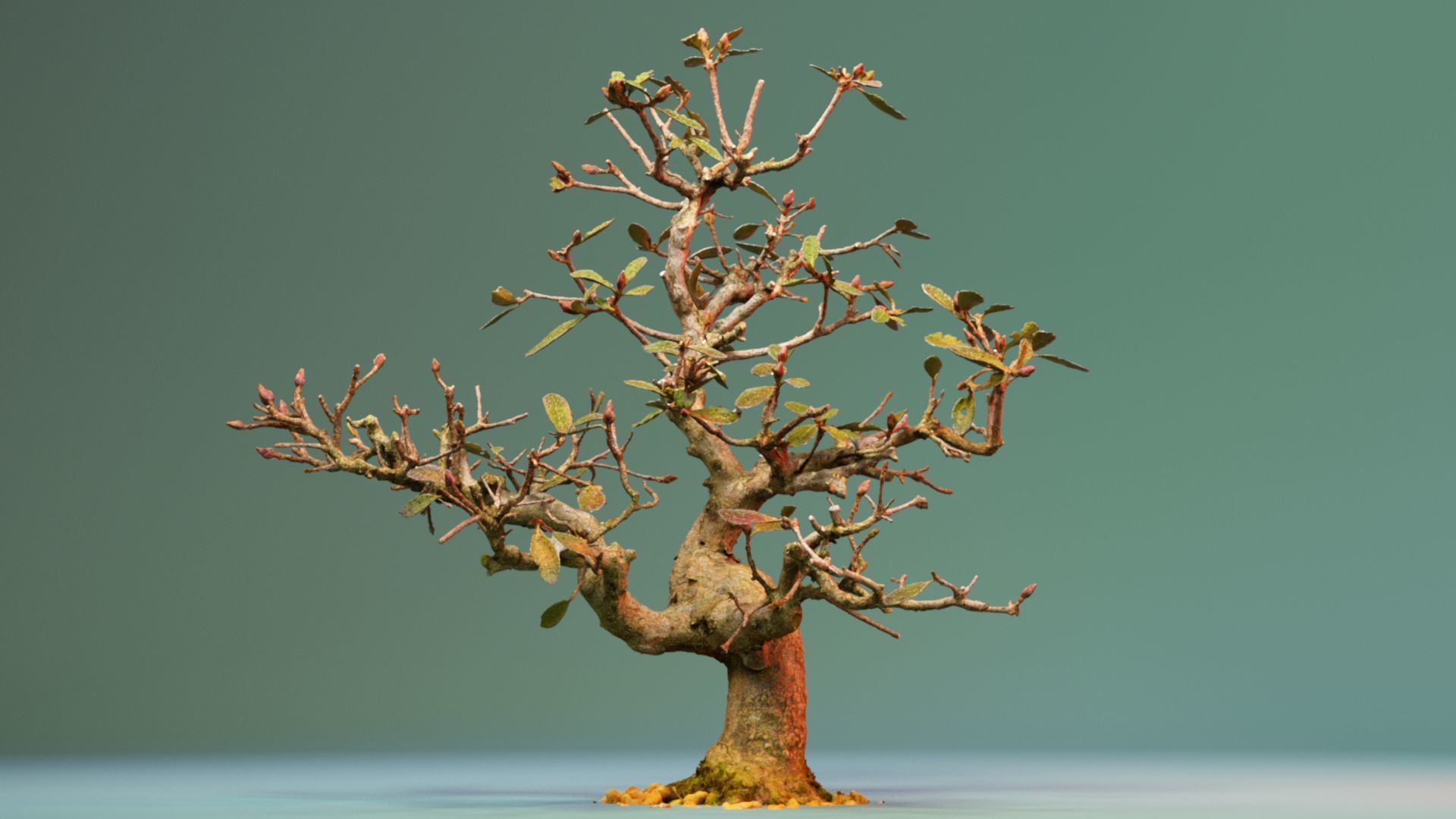 Enchanted Tree 16 3D model_4