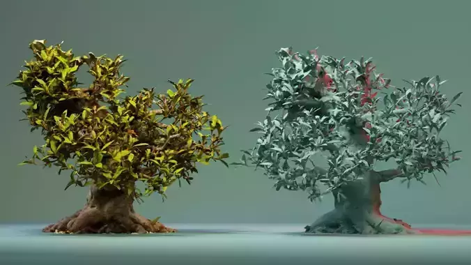 Enchanted Tree 15 3D model