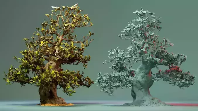 Enchanted Tree 12 3D model
