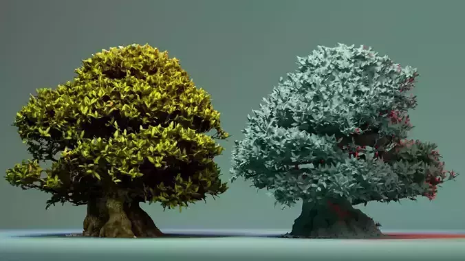 Enchanted Tree 11 3D model