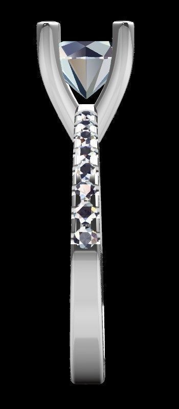 Ring iz52 3D print model_13