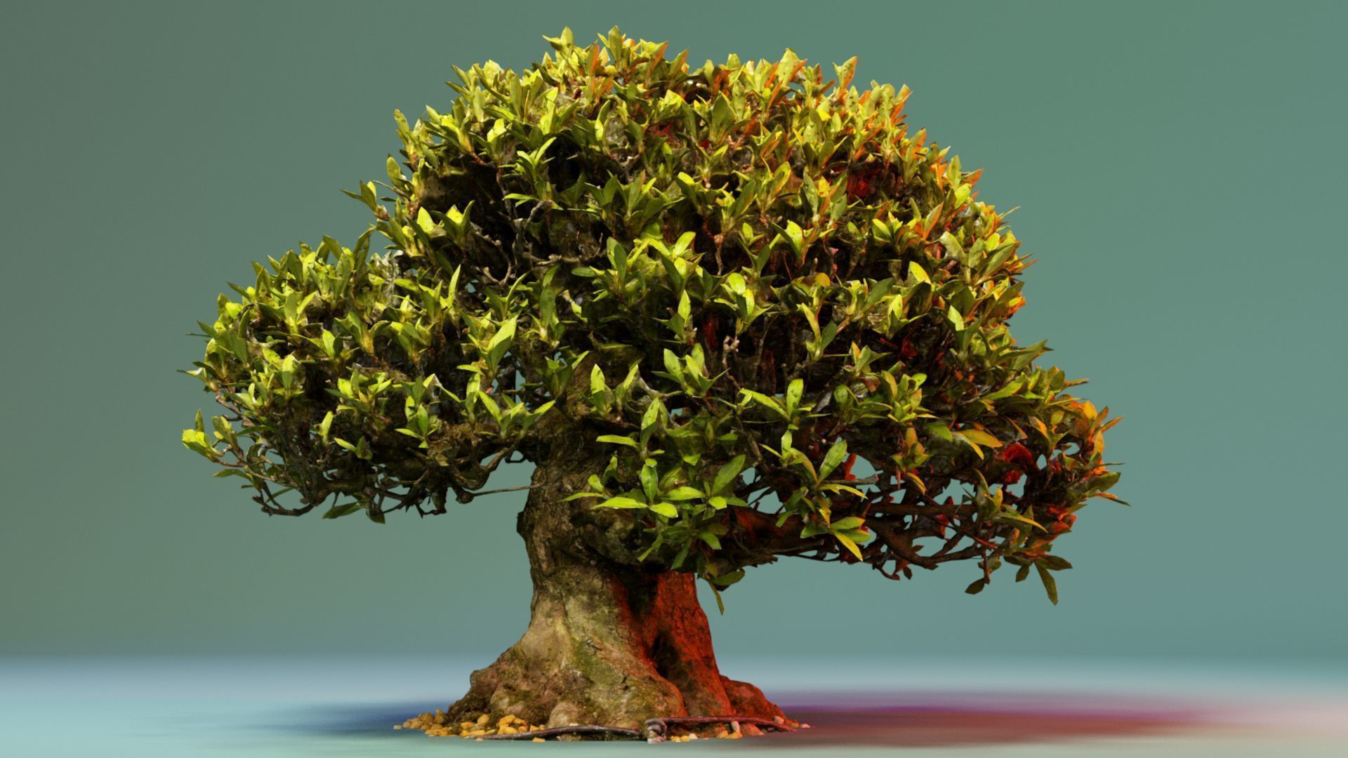 Enchanted Tree 10 3D model_4