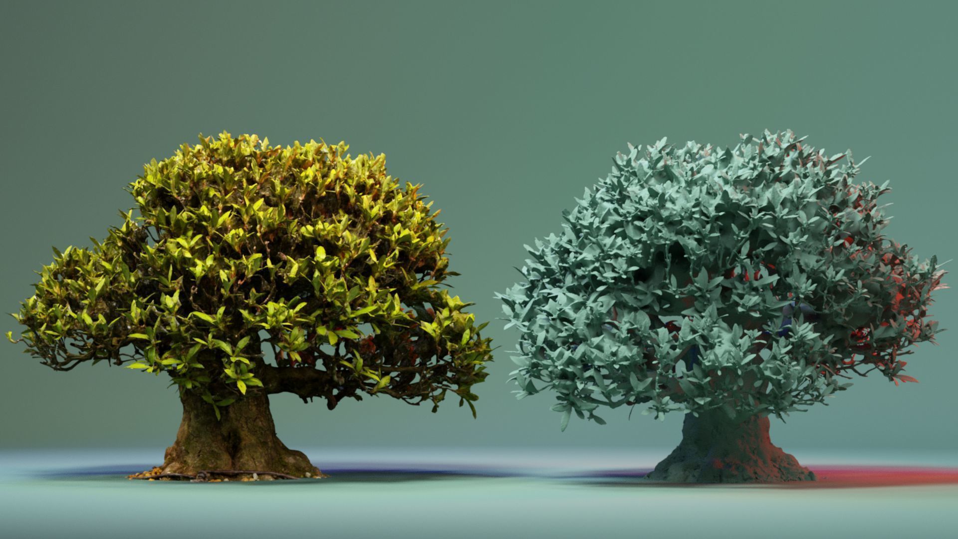 Enchanted Tree 10 3D model_5