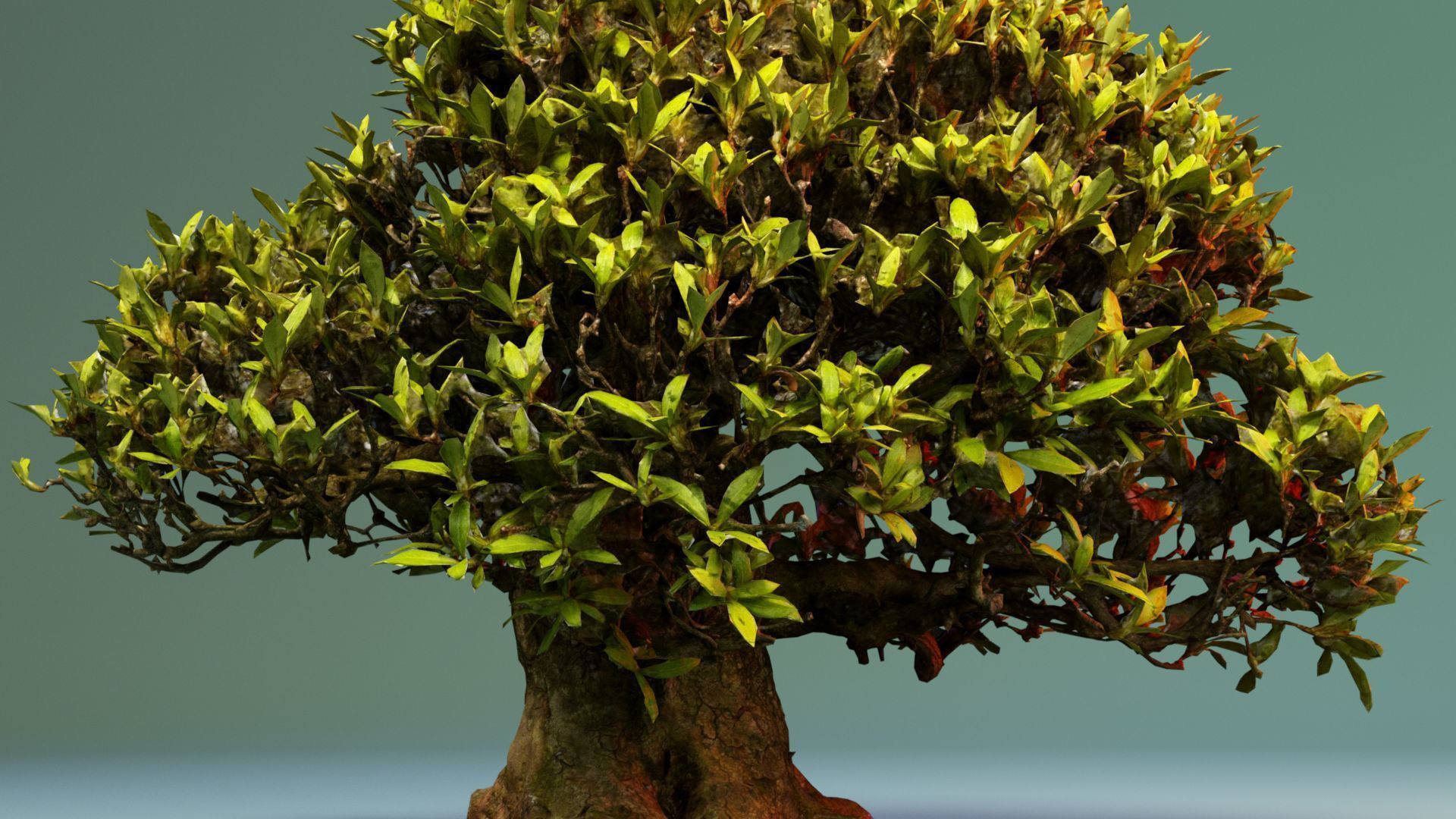 Enchanted Tree 10 3D model_2