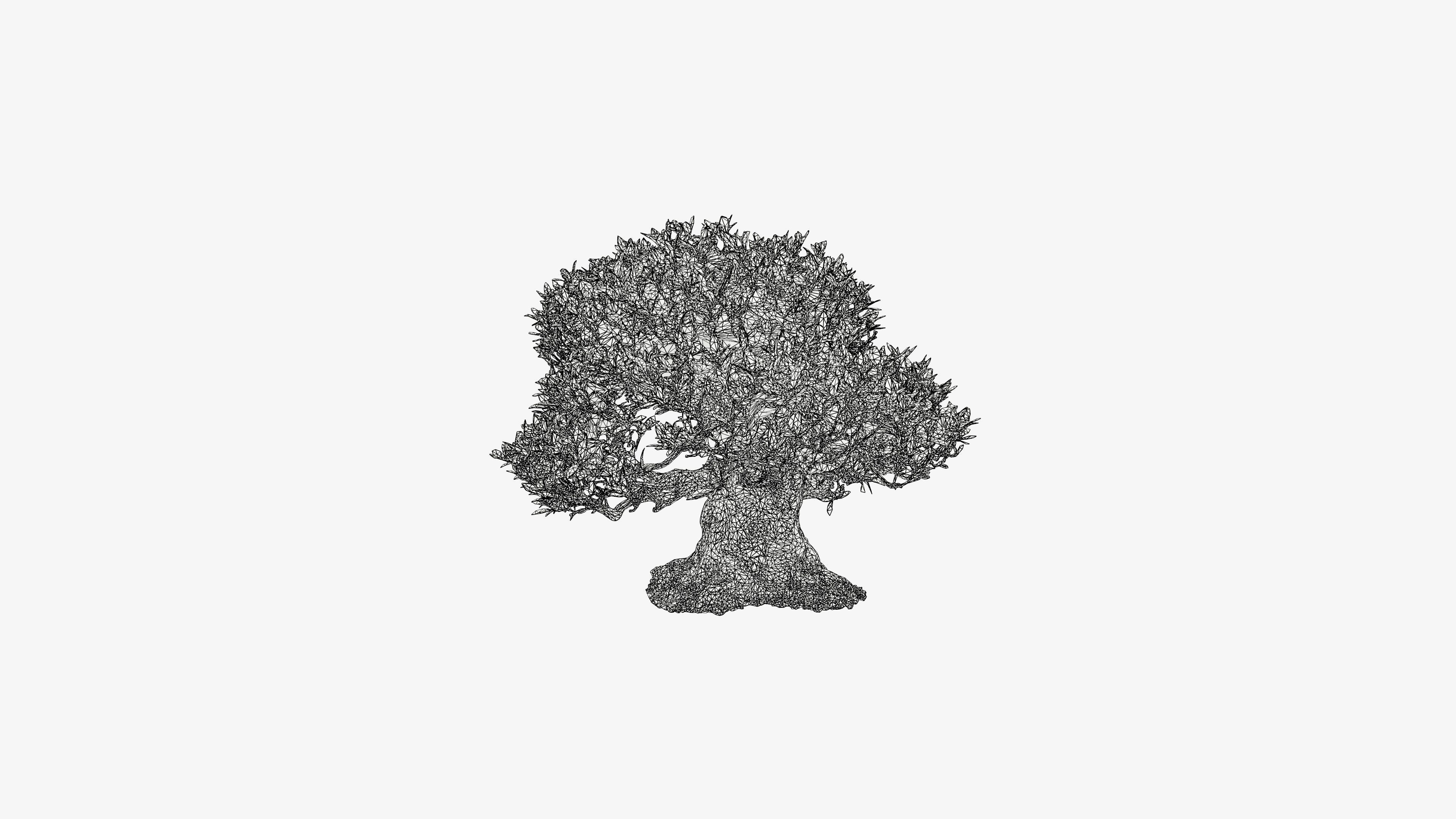 Enchanted Tree 10 3D model_18