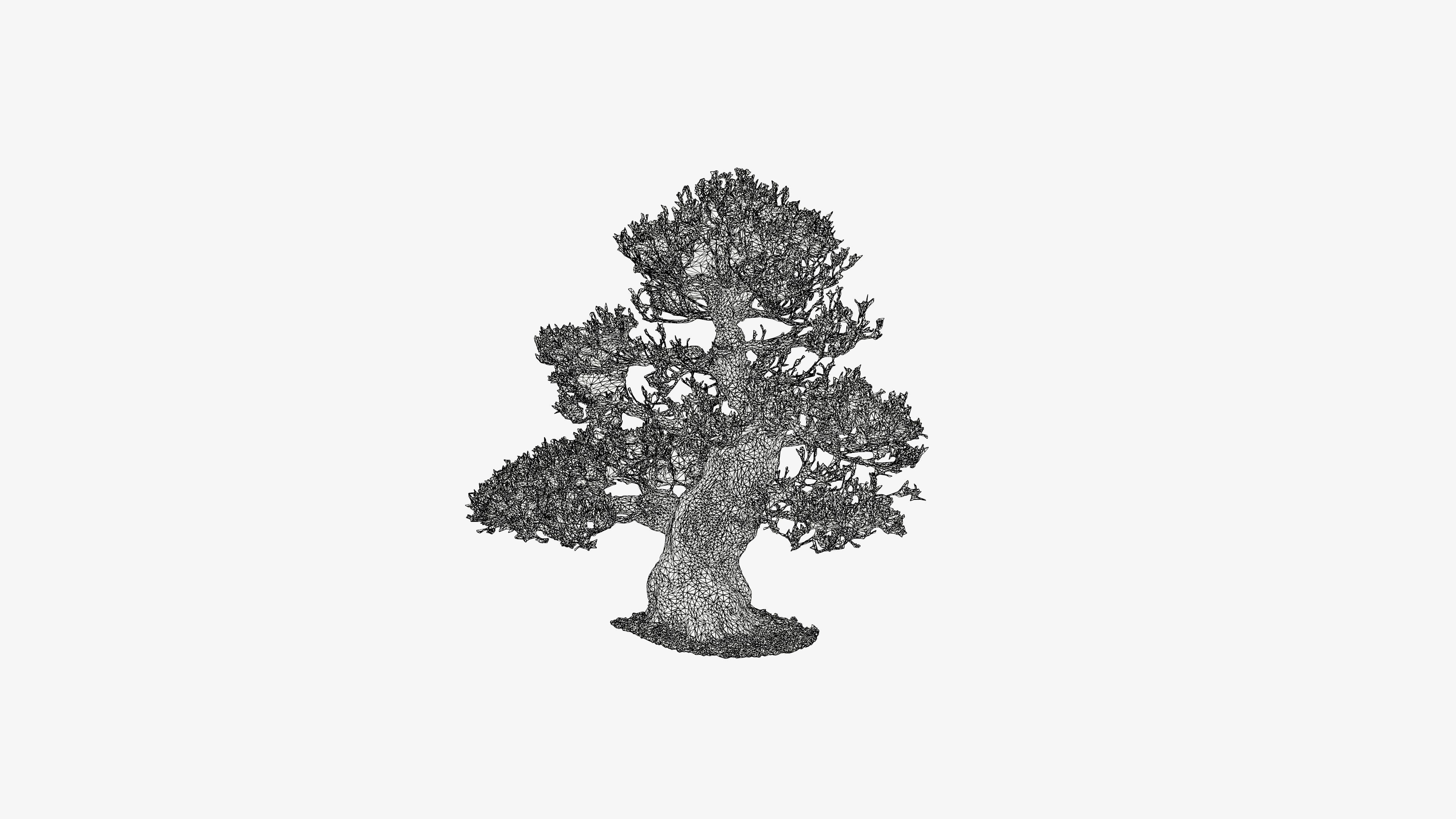 Enchanted Big Tree 4 3D model_18