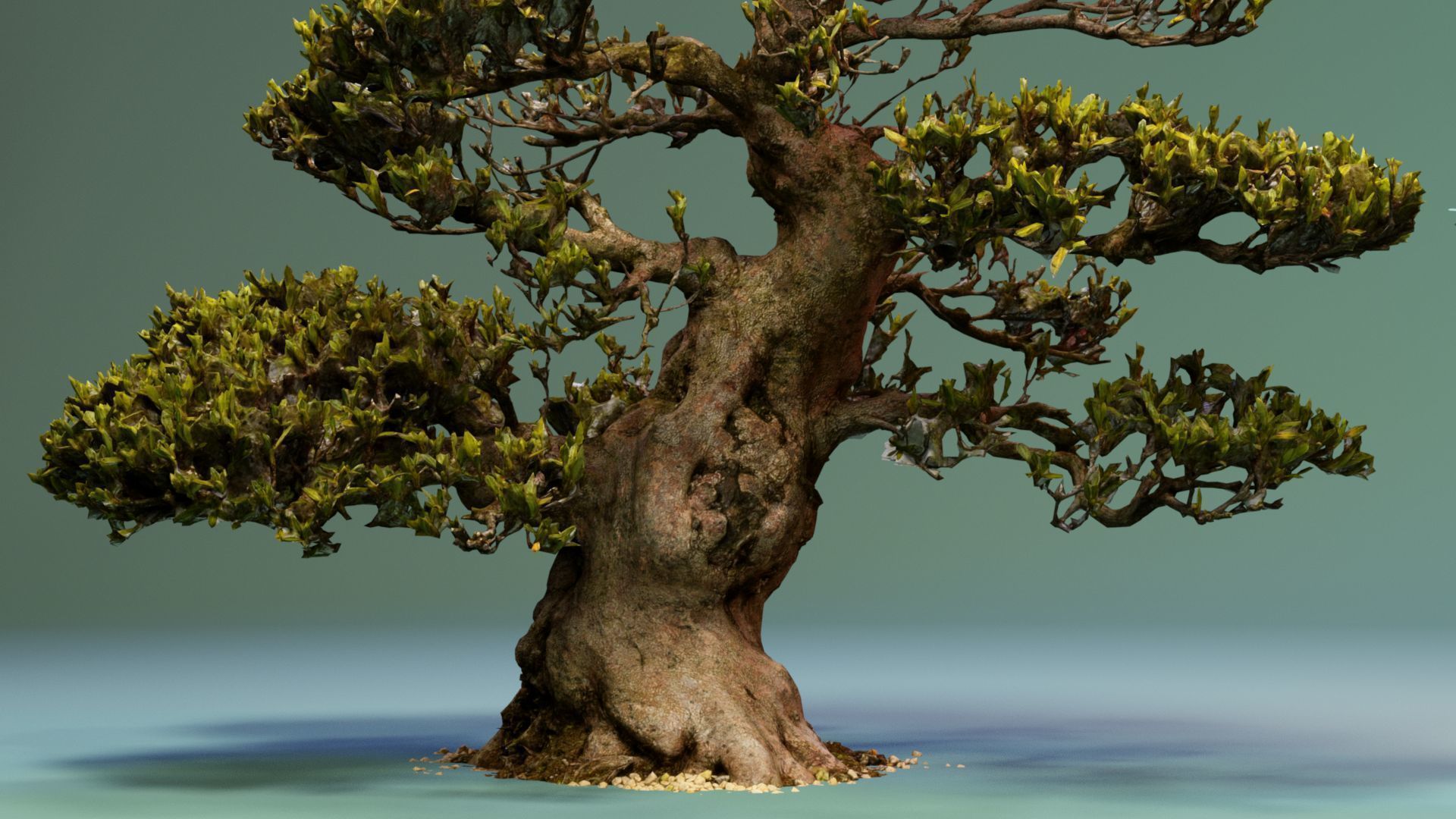 Enchanted Big Tree 4 3D model_2