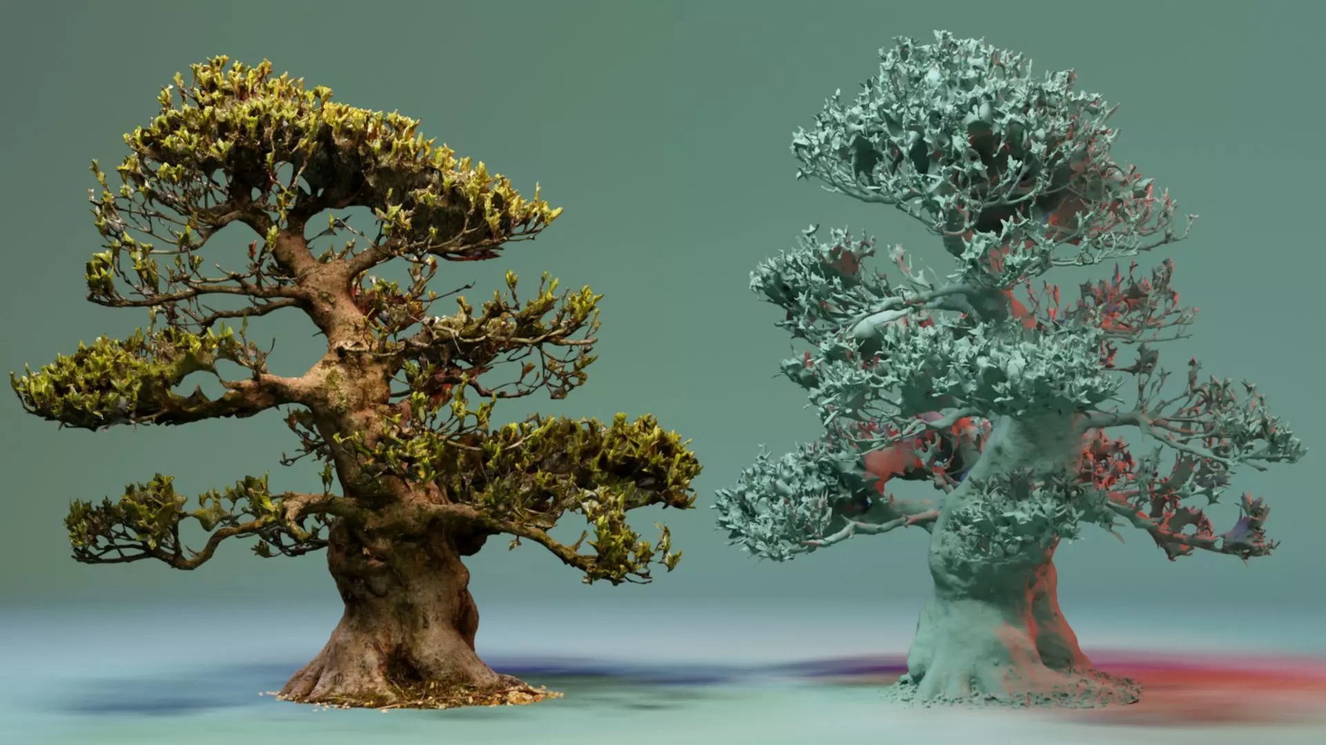 Enchanted Big Tree 4 3D model_0