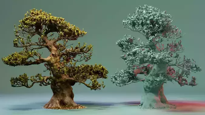 Enchanted Big Tree 4 3D model
