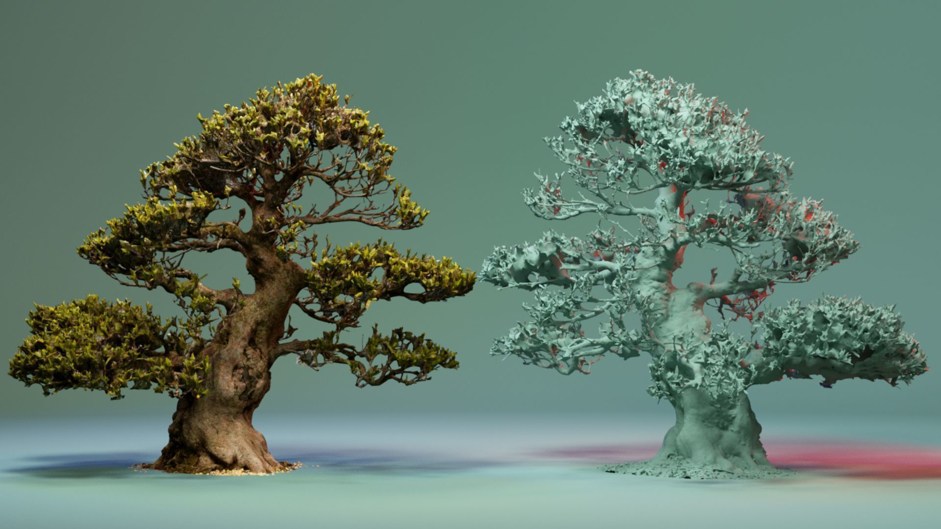 Enchanted Big Tree 4 3D model_5