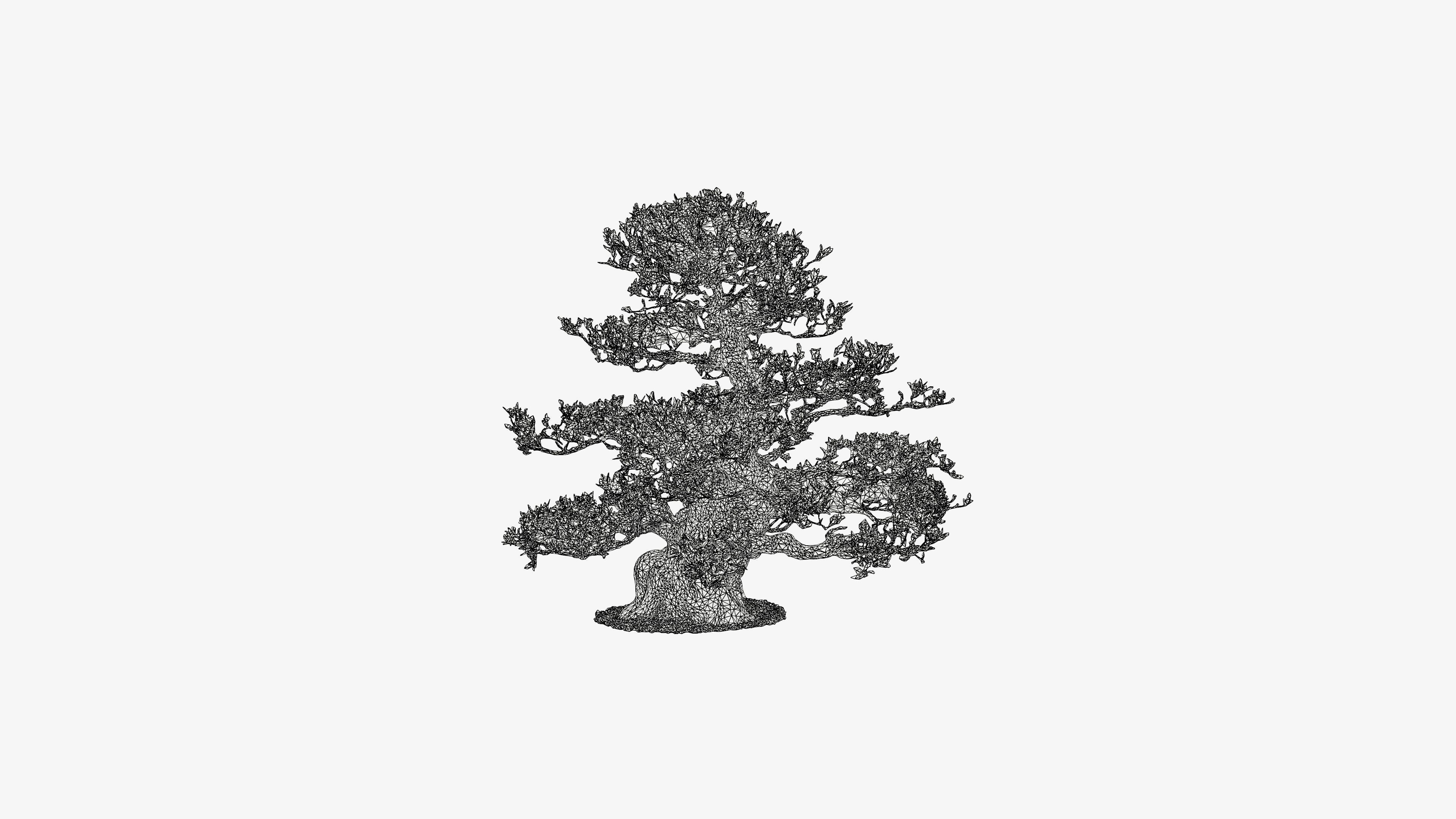 Enchanted  Big Tree 3 3D model_18