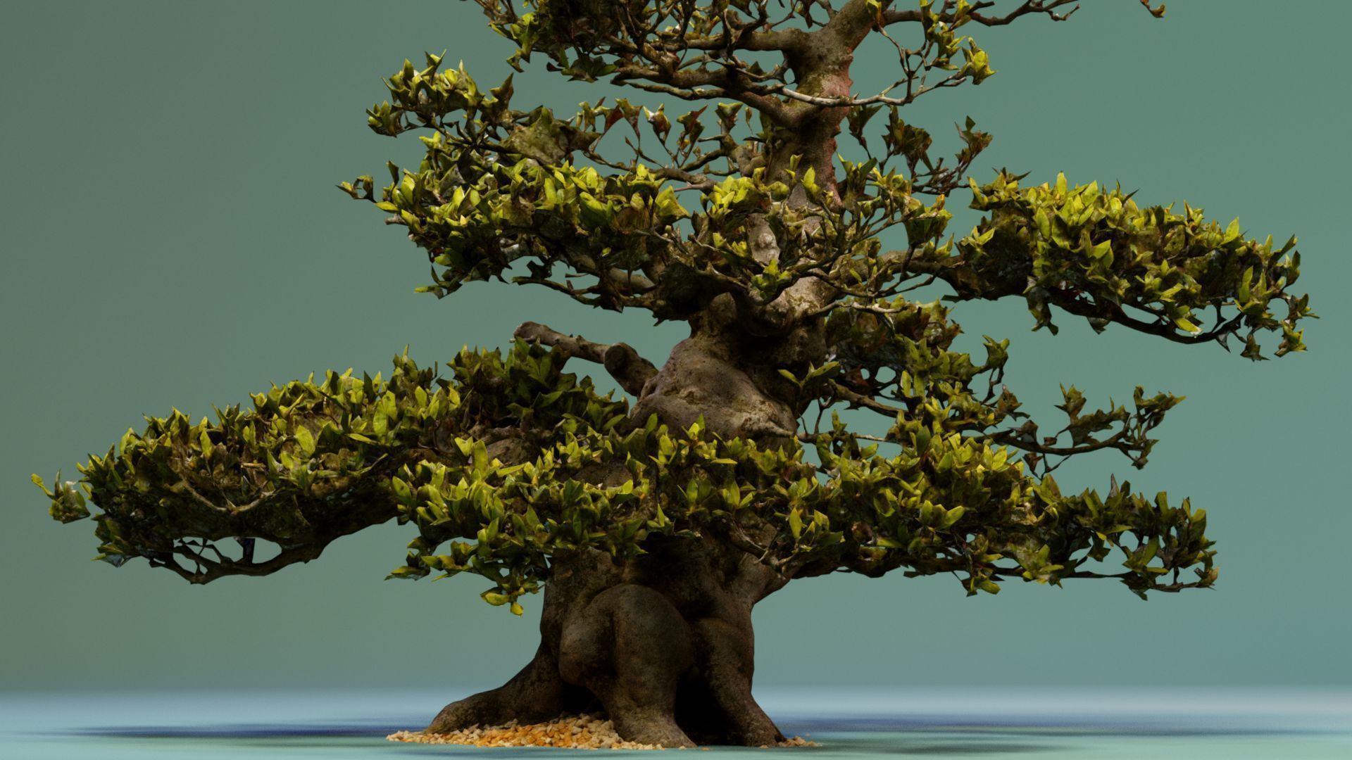 Enchanted  Big Tree 3 3D model_4