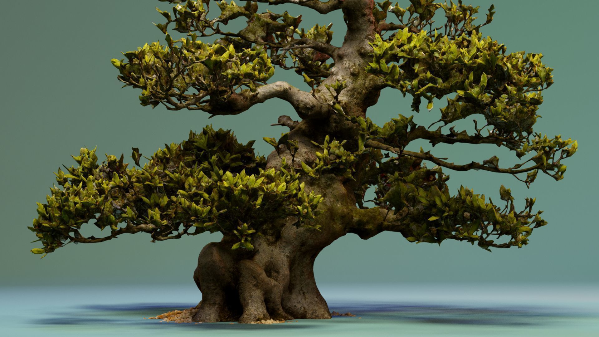 Enchanted  Big Tree 3 3D model_2