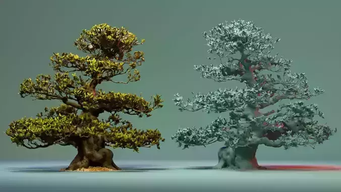 Enchanted  Big Tree 3 3D model