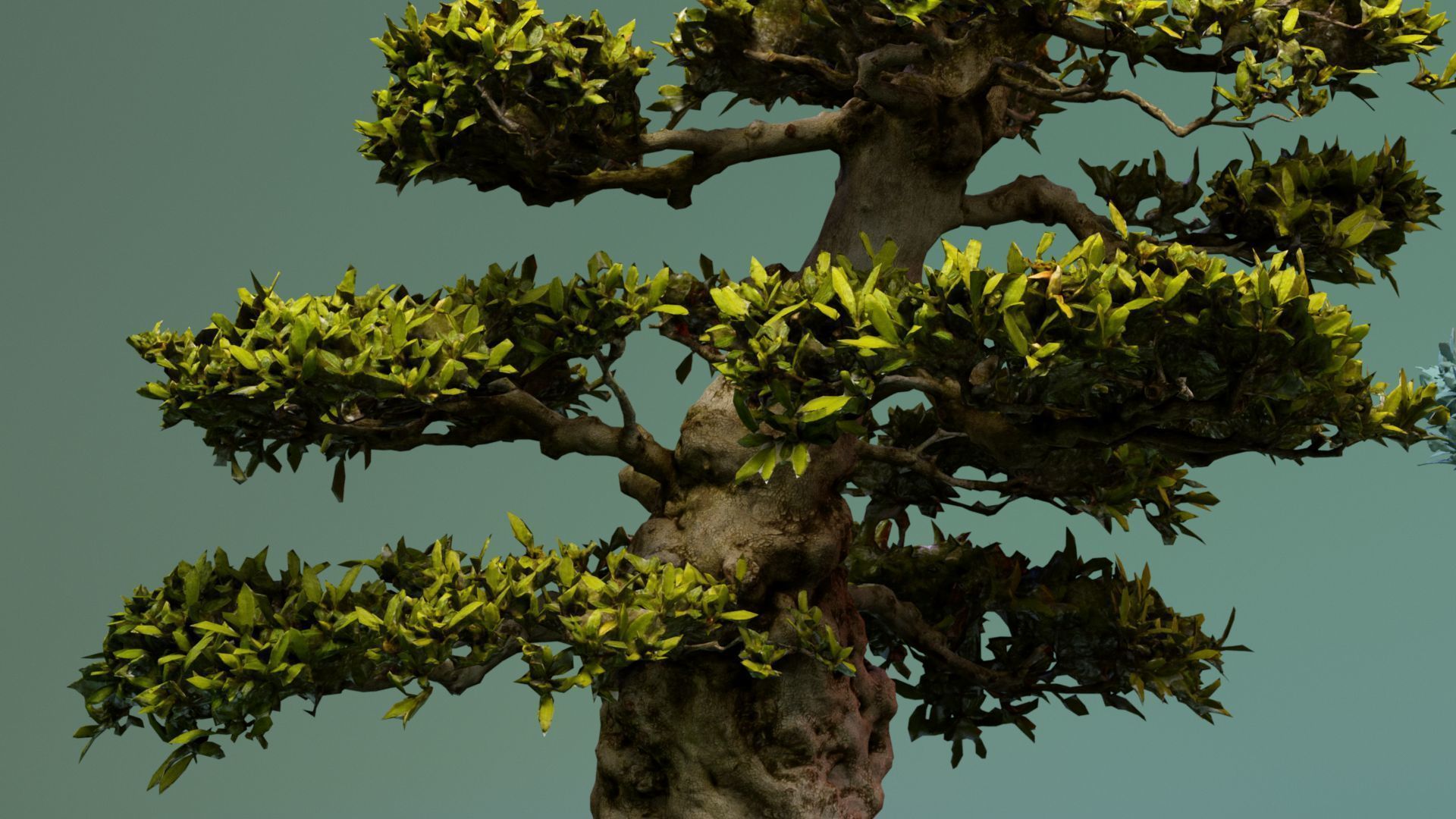 Enchanted Big Tree 1 3D model_3