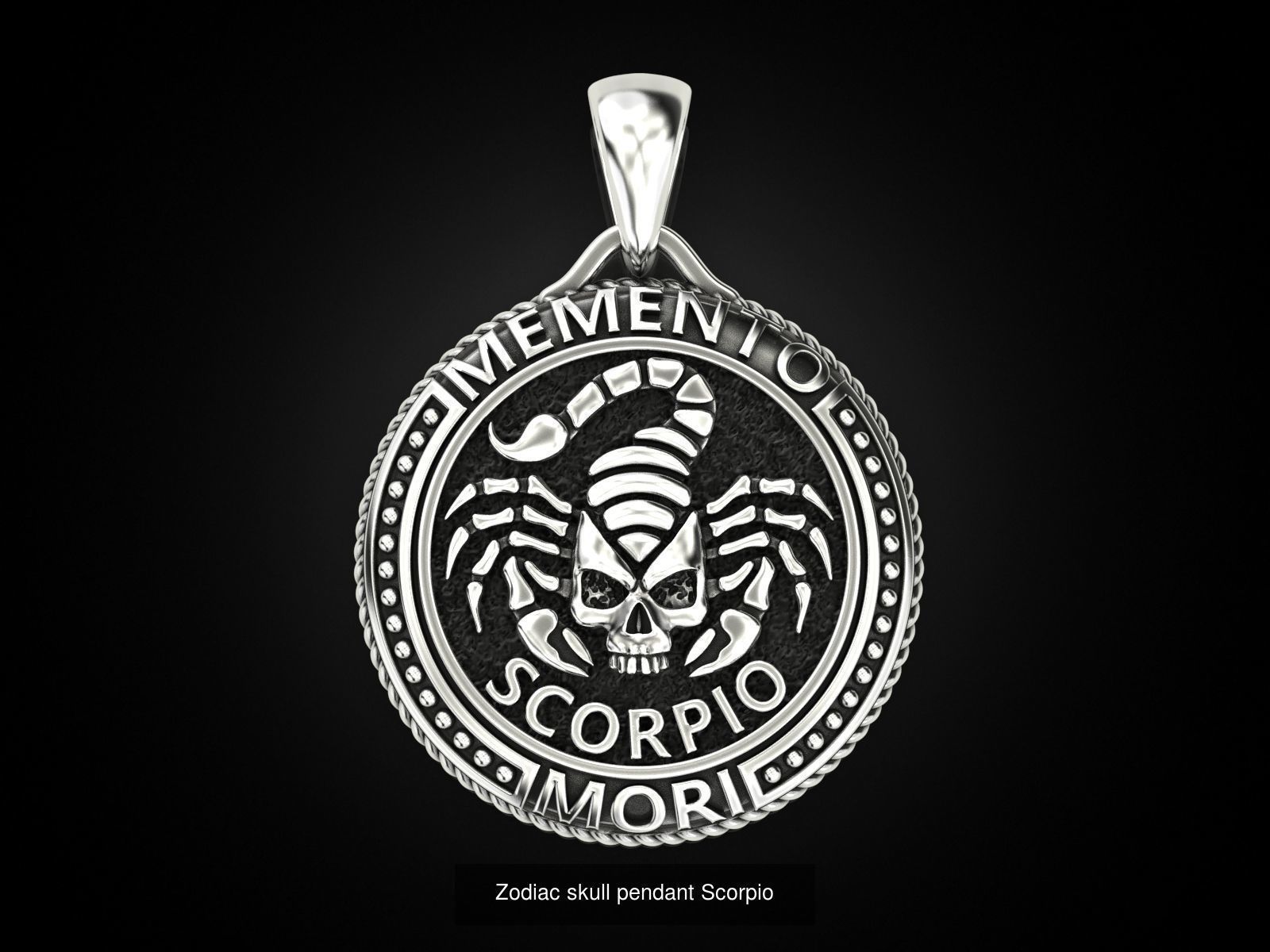 Zodiac skull pendant Collection _12