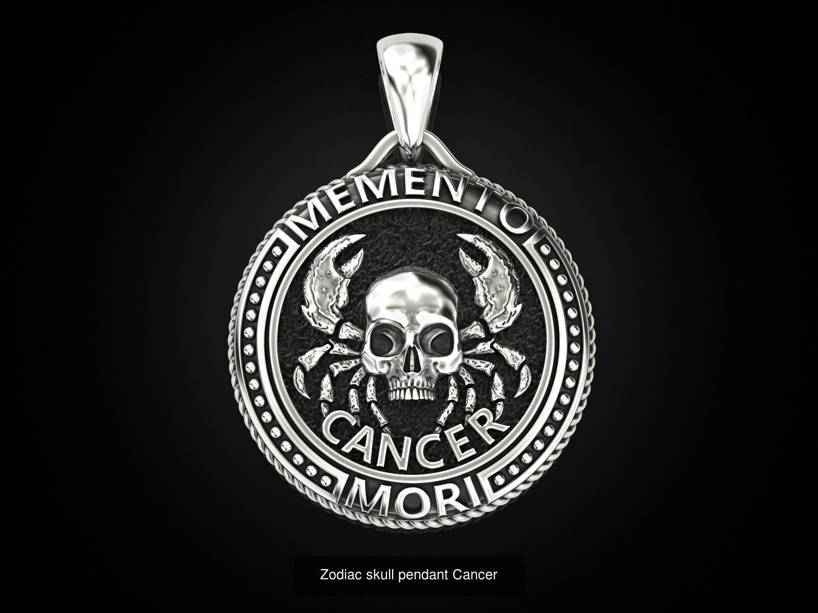 Zodiac skull pendant Collection _5