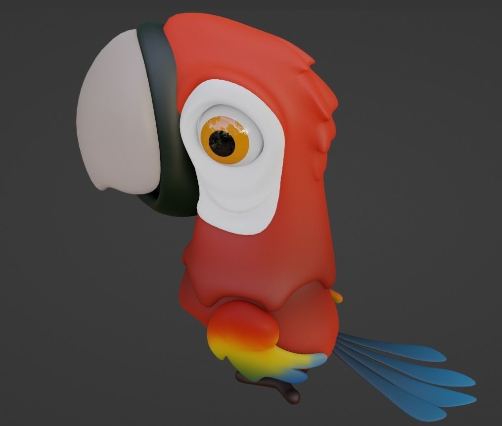 Cartoon Macaw Not Rigged 3D model_3