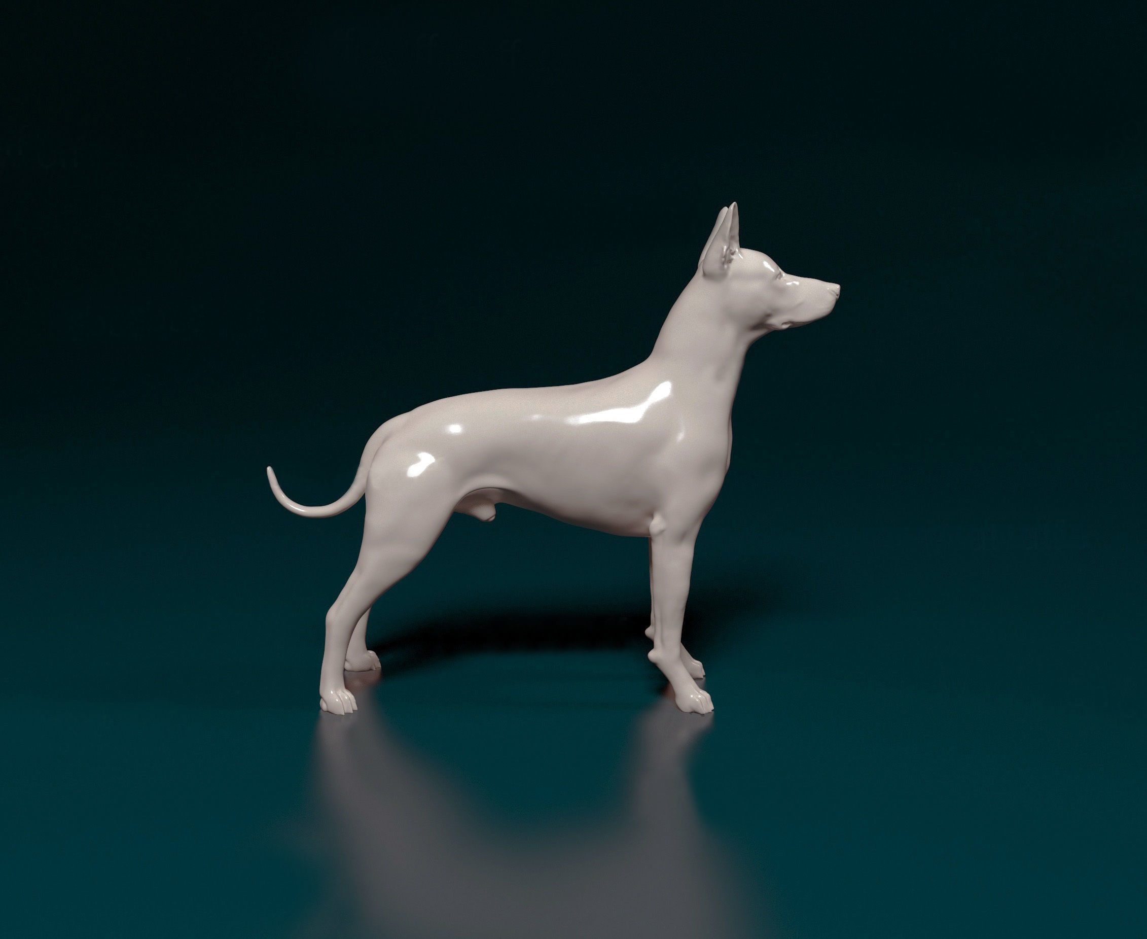 Xoloitzcuintle dog 3D print model_1