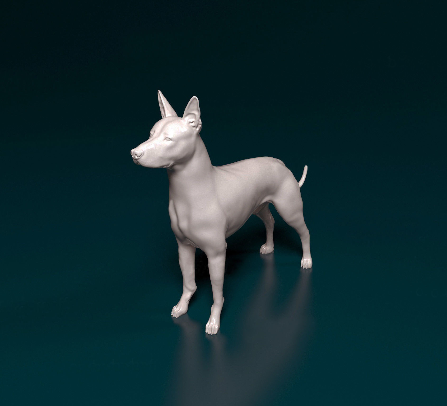 Xoloitzcuintle dog 3D print model_4