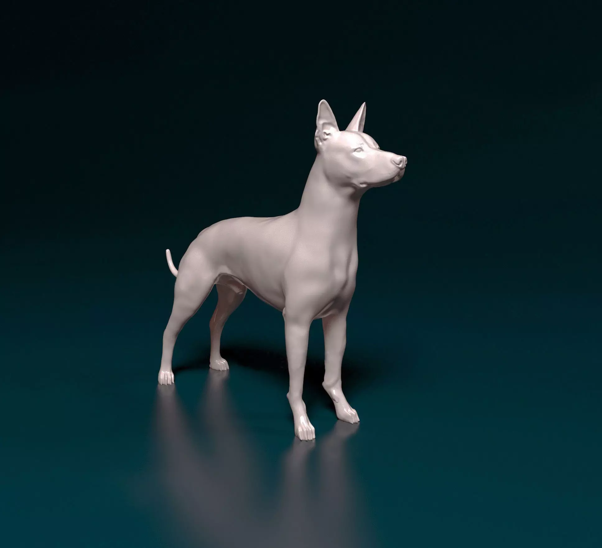 Xoloitzcuintle dog 3D print model_0