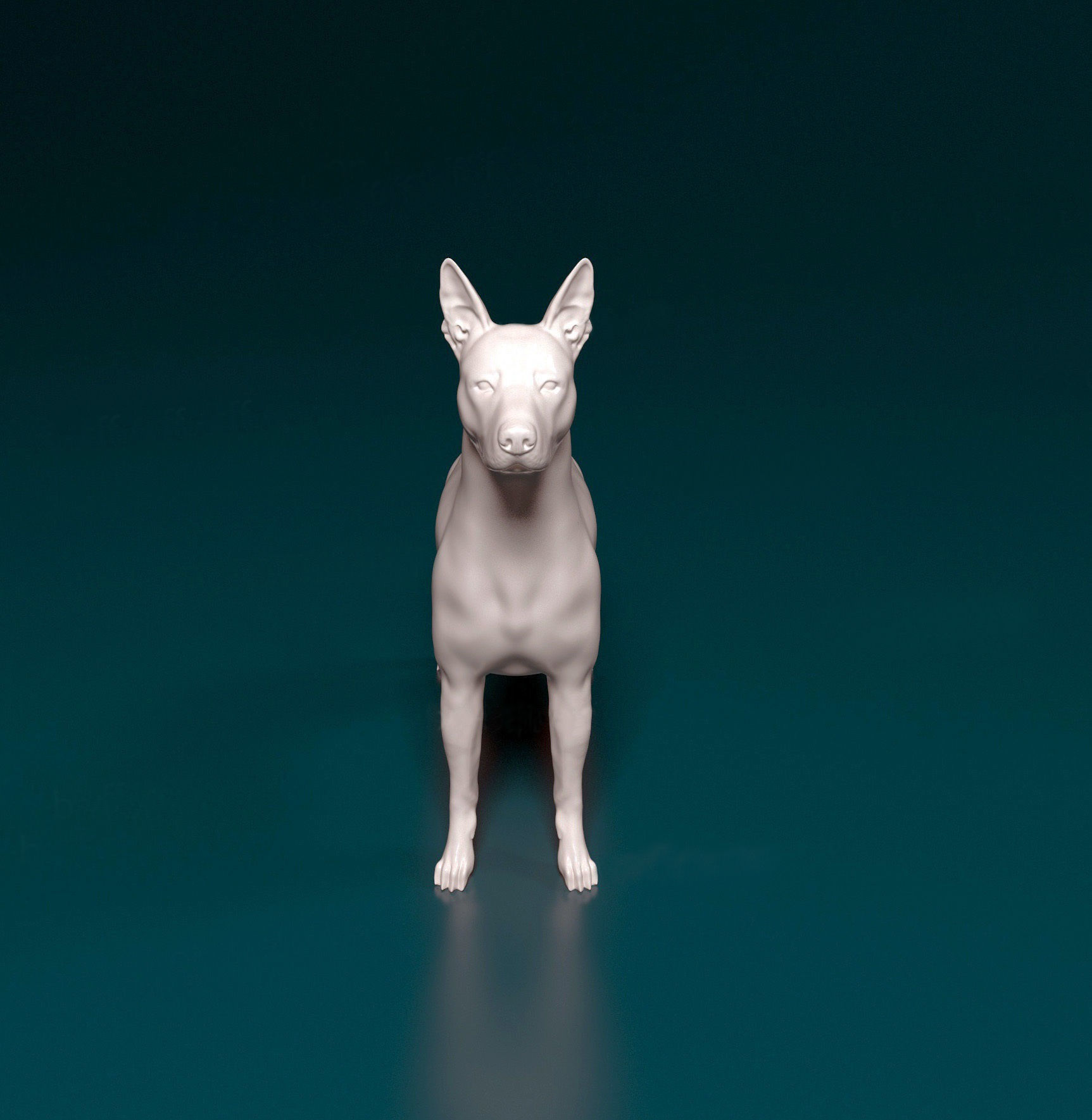 Xoloitzcuintle dog 3D print model_5