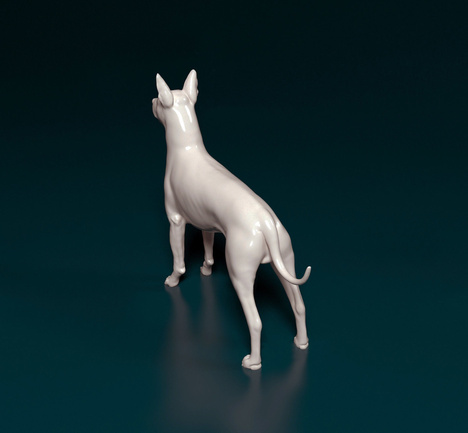 Xoloitzcuintle dog 3D print model_3