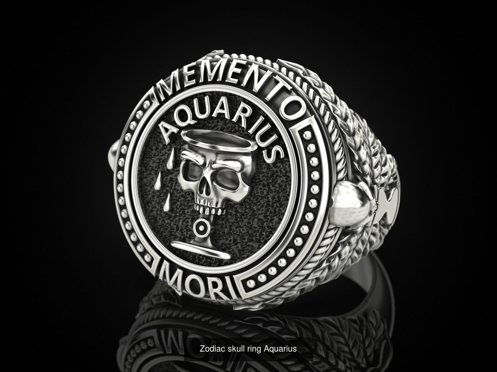 Zodiac skull ring and pendant Collection _10