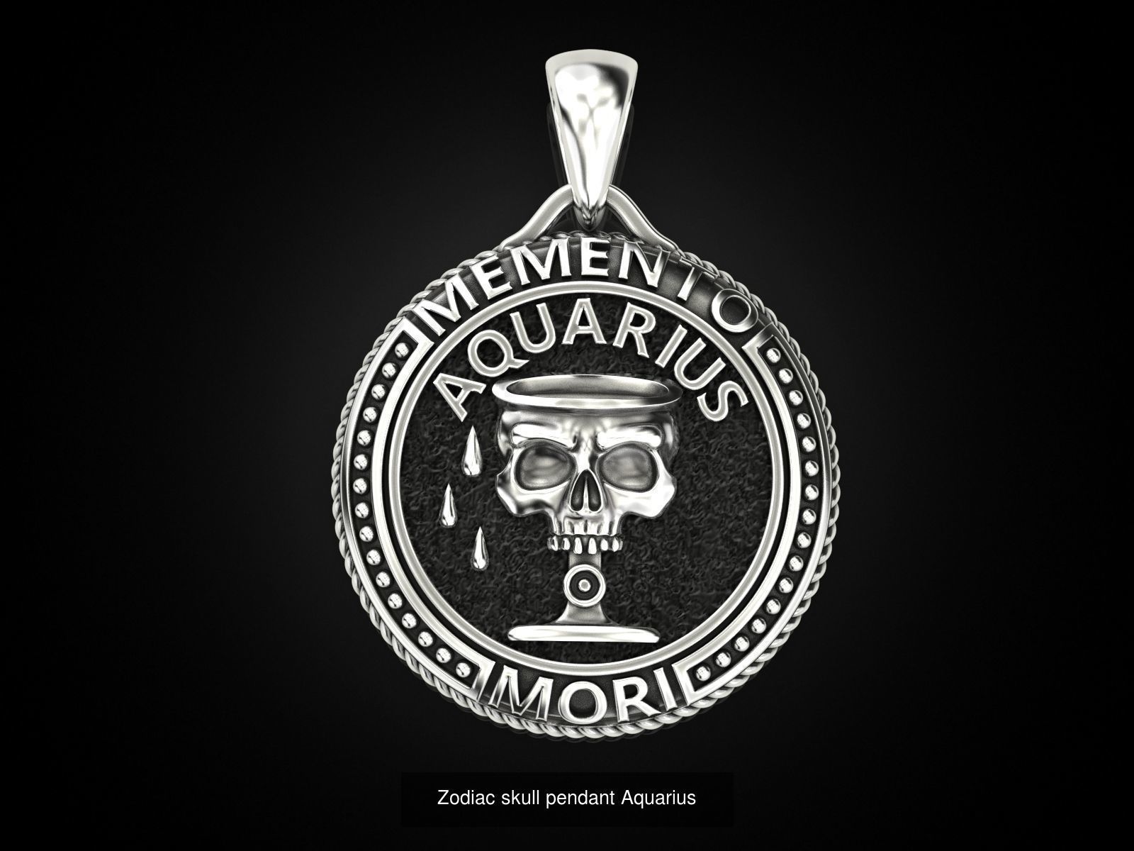 Zodiac skull ring and pendant Collection _14