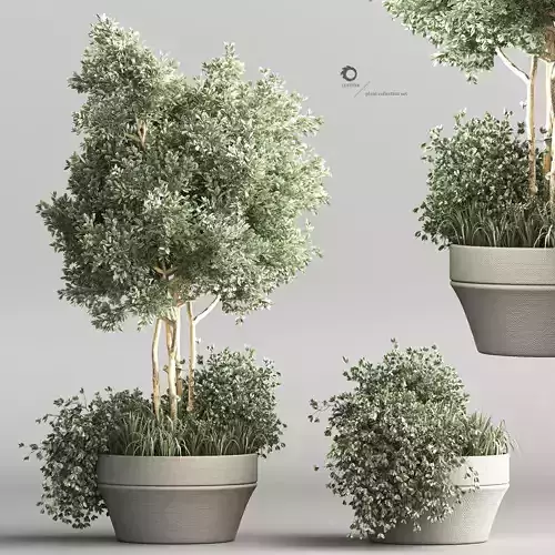 indoor plant stand 55