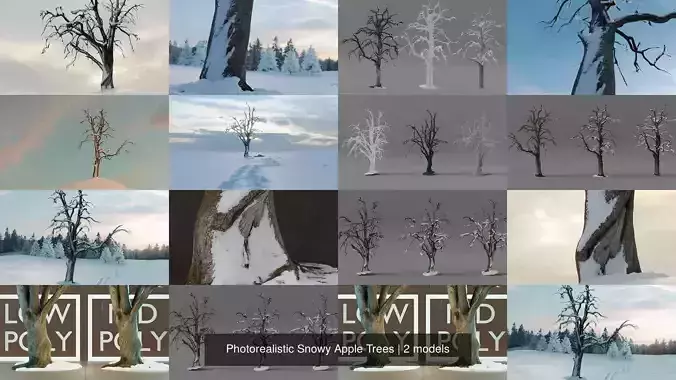 Photorealistic Snowy Apple Trees 3D Model Collection