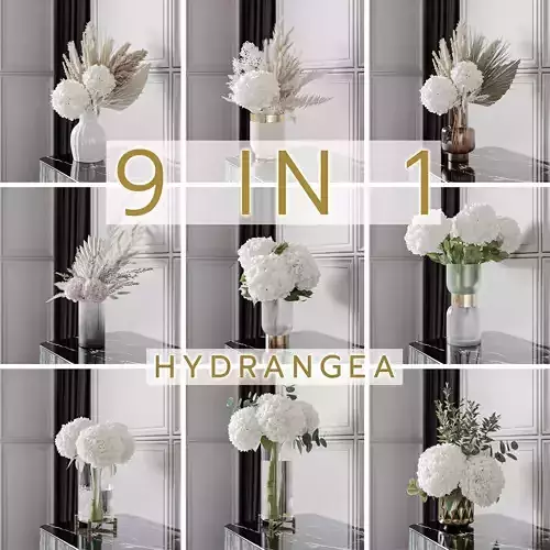 Flower Set01 - Hydrangea collection 9 in 1