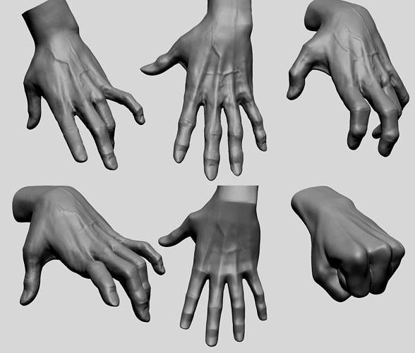 Hand Models 3D model