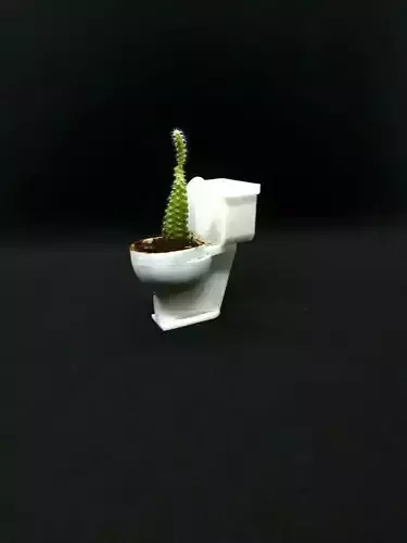 TOILET FLOWER POT