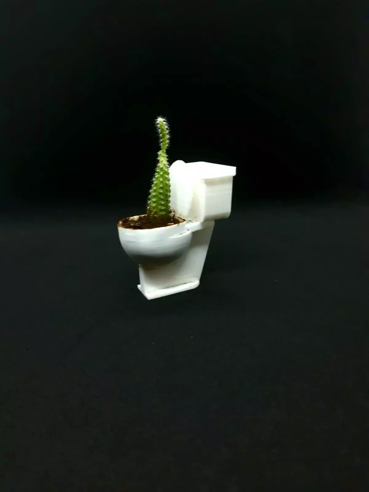 TOILET FLOWER POT 3D print model