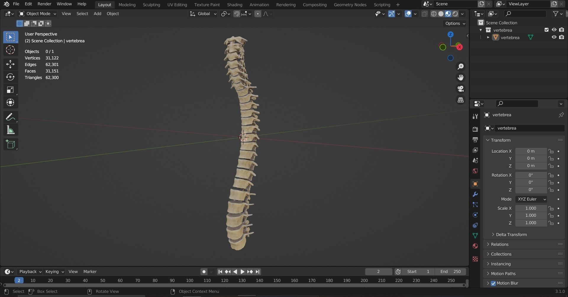 Vertebrea vertebrae of human spine Low-poly 3D model_7