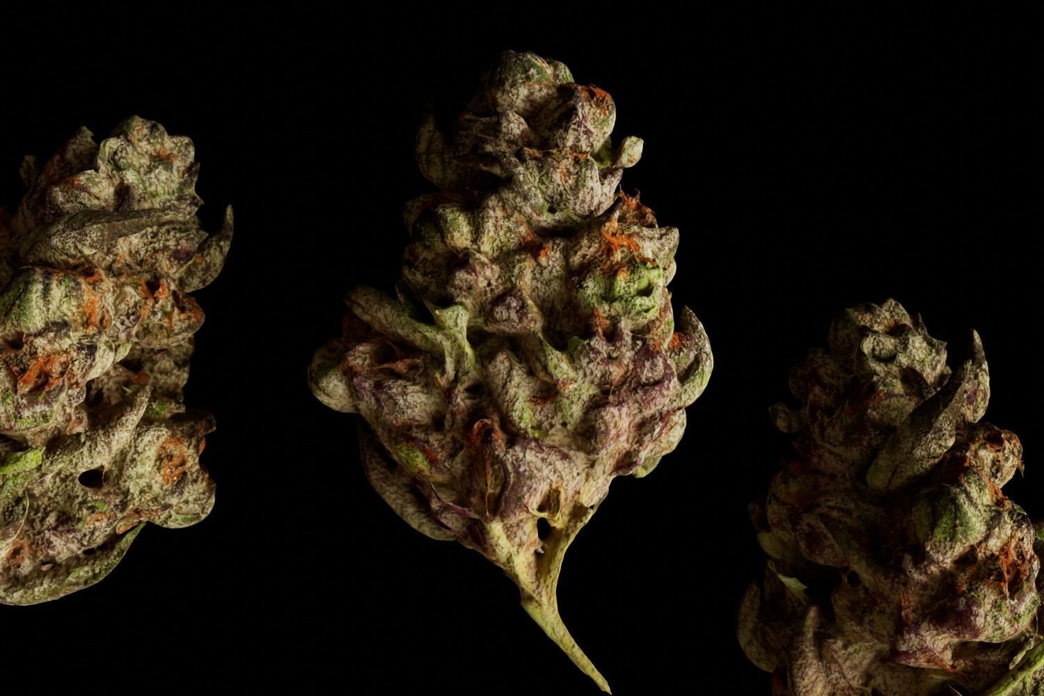 Realistic Cannabis Bud 01 3D model_4