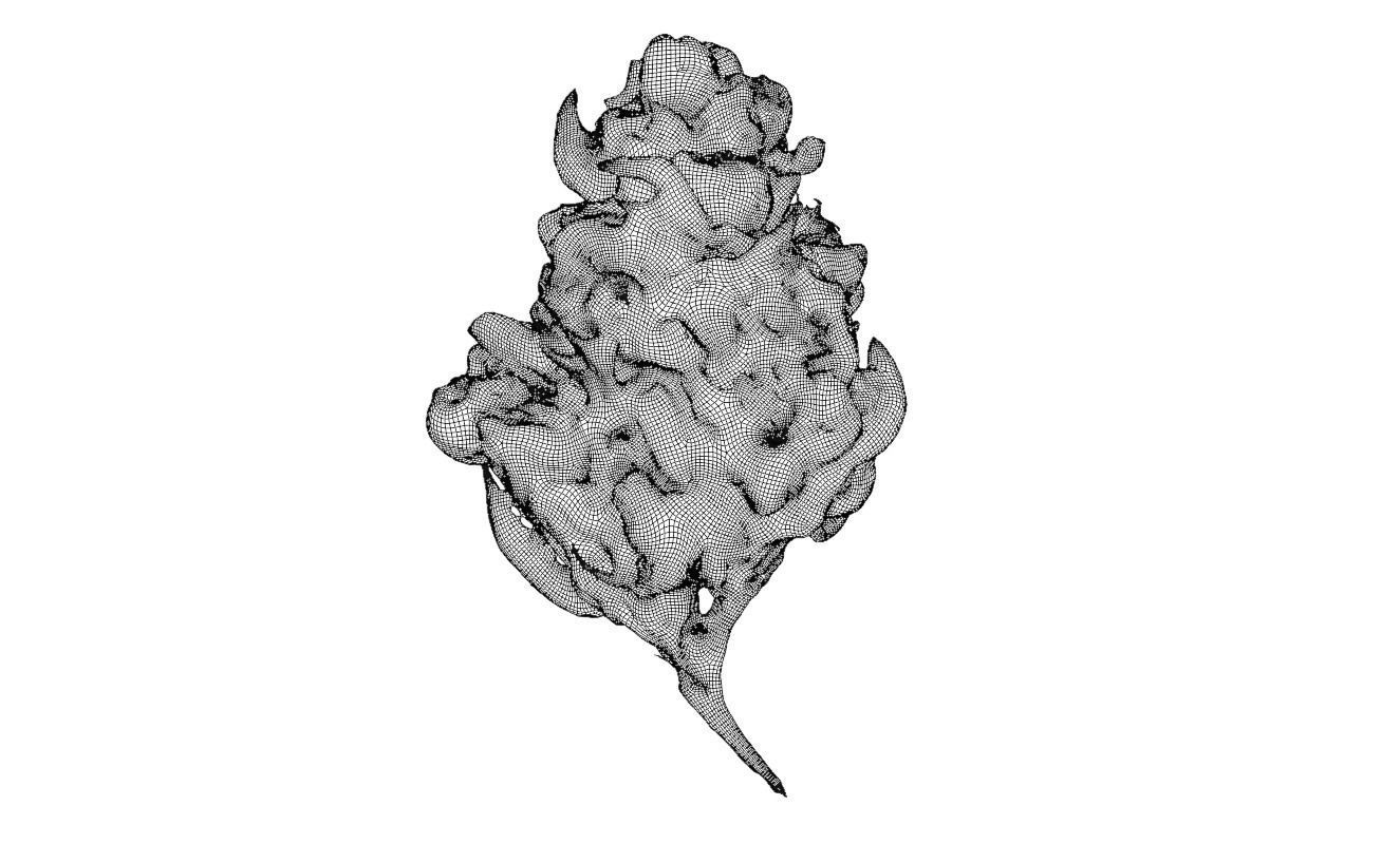 Realistic Cannabis Bud 01 3D model_1