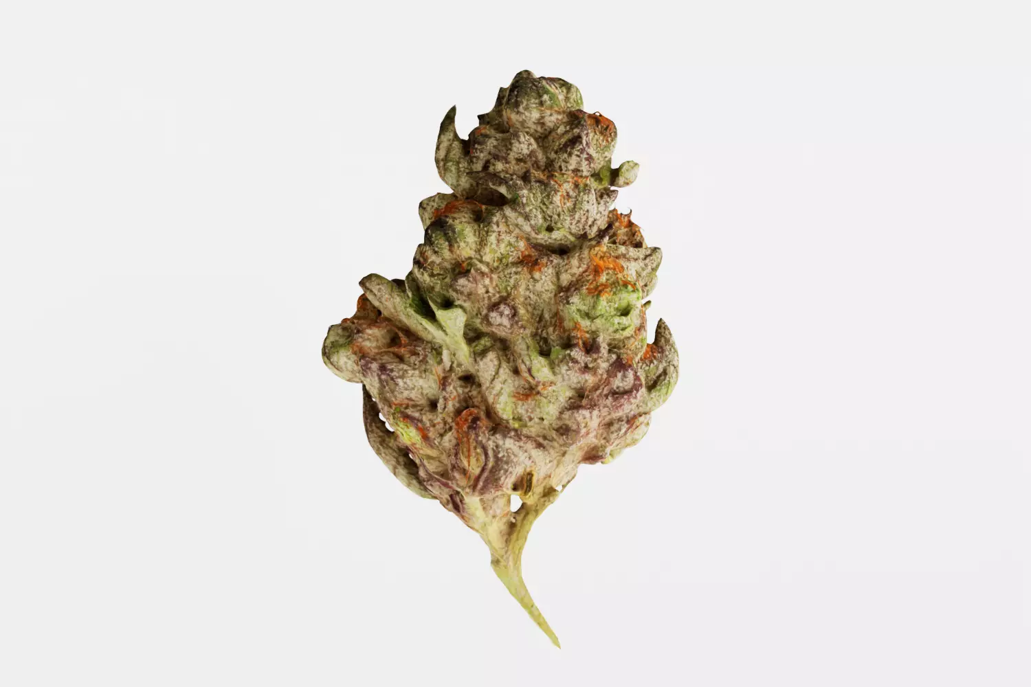 Realistic Cannabis Bud 01 3D model_0