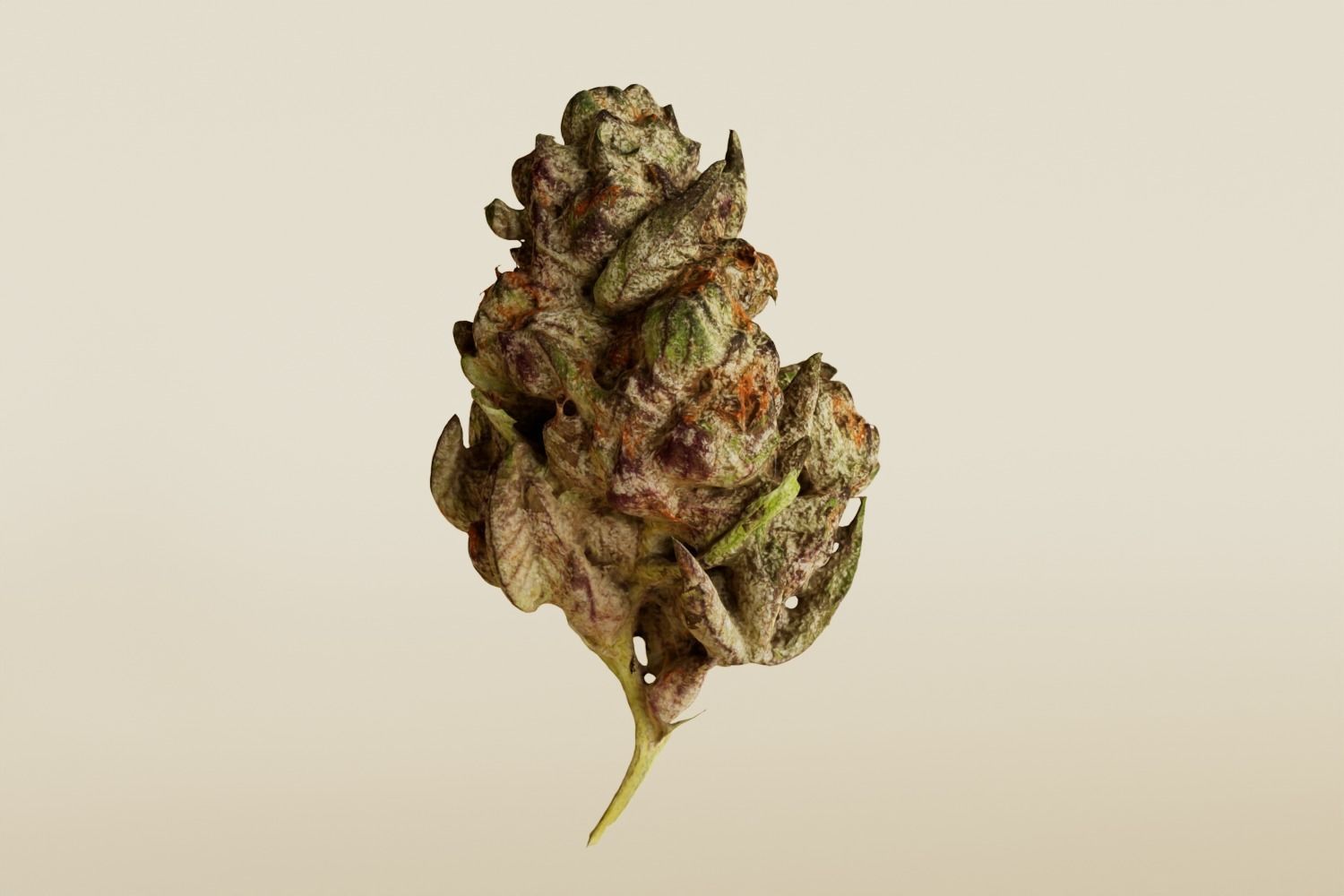 Realistic Cannabis Bud 01 3D model_2